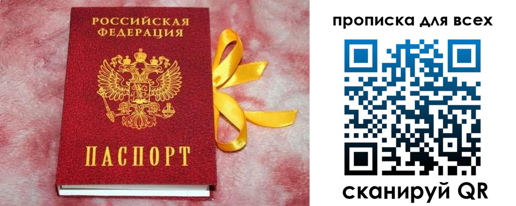 прописка для школы в Владимирской области